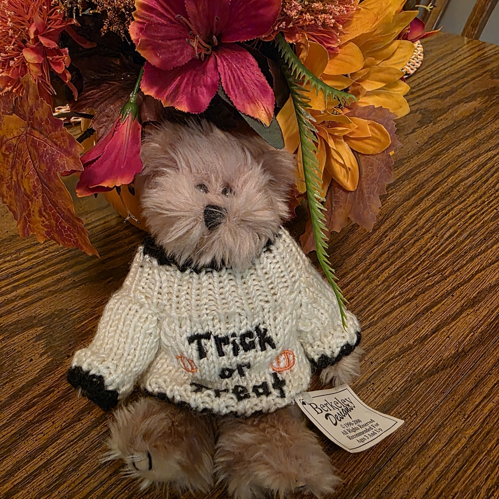 Halloween Teddy Bear with Sweater